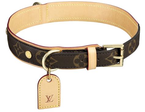 louis vuitton dog harness and leash|faux louis vuitton dog collar.